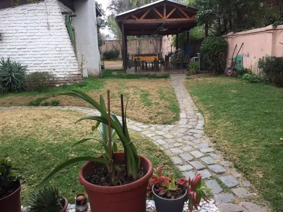 Rebajada En Reina Victoria