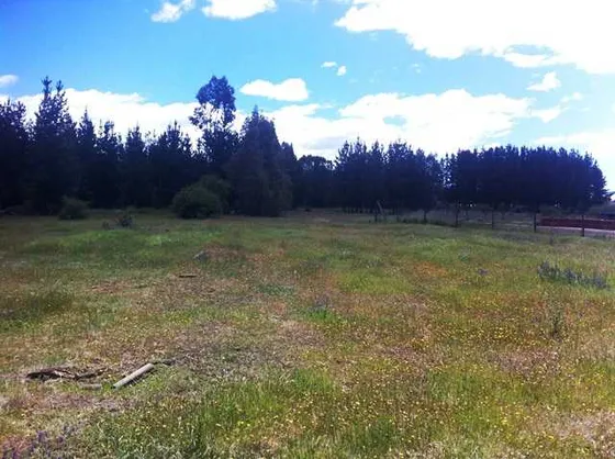 Cauquenes Terreno Inmobiliario 4 Has (72851)