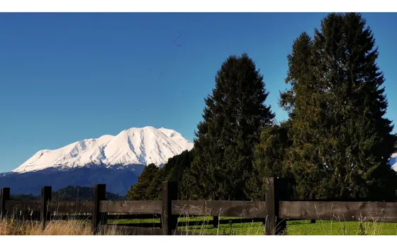 Proyecto En Verde Bosque Del Rio  Puerto Varas
