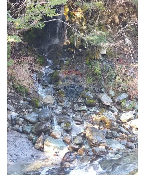 Su Refugio Soñado En Futaleufú