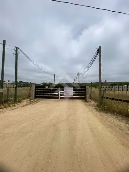 Sitio En Venta En Litueche