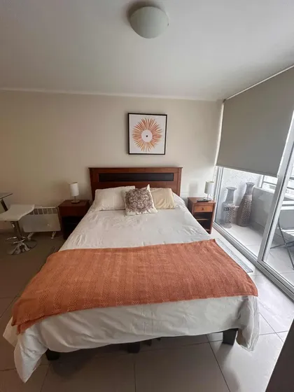 Departamento Tipo Estudio En Arriendo En Santiago Centro