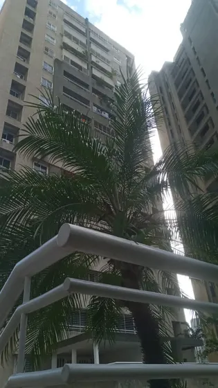 Venta De Apartamento En Bello Monte. Cliente Directo 
