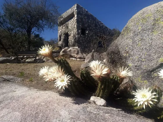 Venta Oportunidad!! 7 Hectareas Con 3 Cabañas En Achiras Arriba, Traslasierra!!