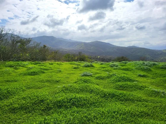 Sitios Santa Rosa De Cachagua