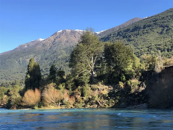 Sitio En Venta En Puelo