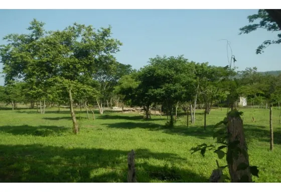 Lotes En Venta En Sabanas De Bonda, 02