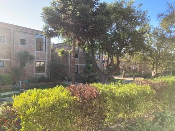 Vista publicada del arriendo en Concón
