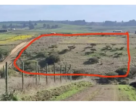Vende Bellísima Parcela Con Rol Propio En San Enrique, Sant