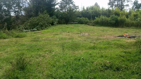 Vendo Finca Lote San Antonio De Pereira Rionegro Antioquia 