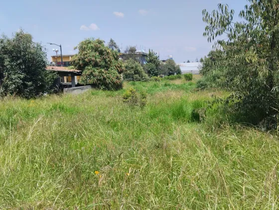 Terreno En Venta En Metepec