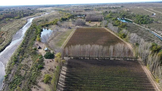 Finca En San Rafael, Mendoza 