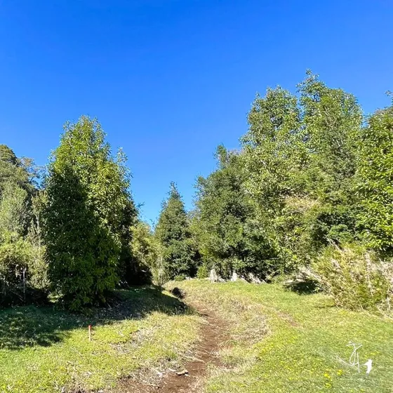 Parcela Lago Ranco