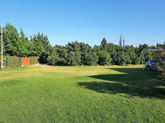 Venta De Terreno En La Cruz  35.000 M2., Plantado Con Palto