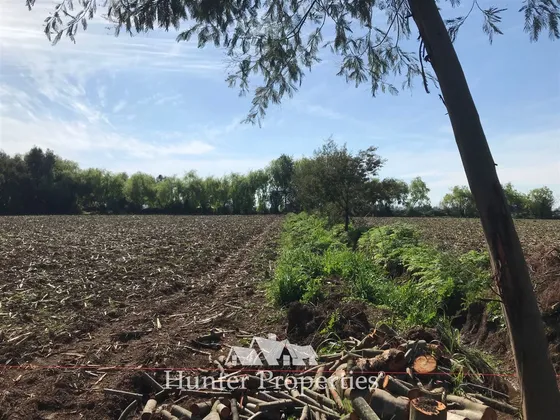 Sitio En Venta En San Clemente
