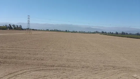23 Hectáreas En Plena Producción  (166381)
