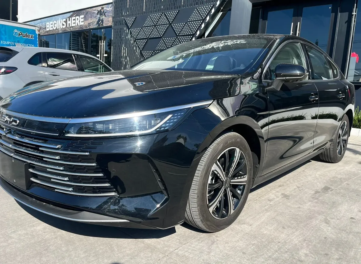 Byd King 20264172764020637798421