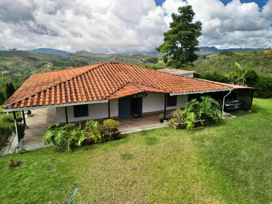 Finca Con Casa Y 200 Árboles De Aguacate En San Vicente Ferr