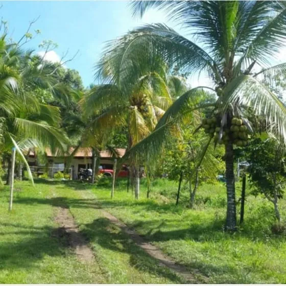 Finca Cunday El Reves, Oportunidad 95 Hectáreas, 2.137.000.000. Vempermuto