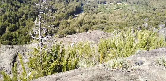 A 20 Km De Antuco / 9 Km Borde Rio Rucue/ Veranadas
