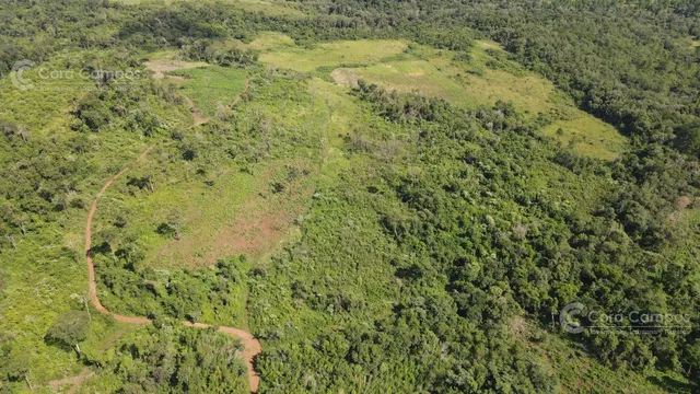 Chacra En Santo Pipo,  44 Ha Forestación, Yerba Y Monte
