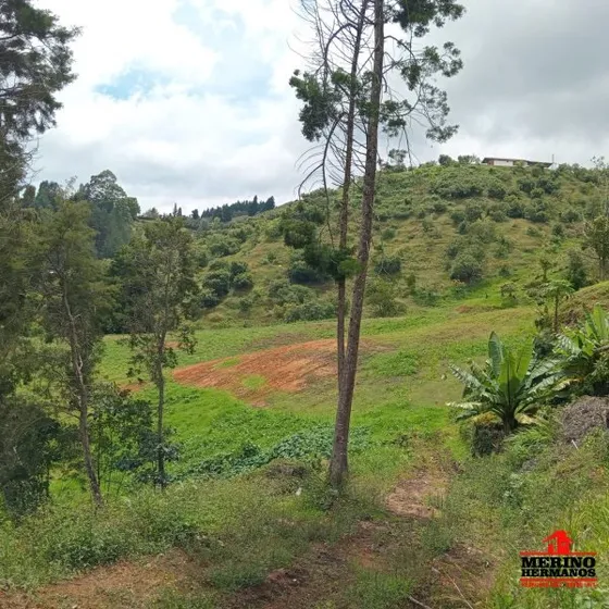 Casa-finca En Venta En Guarne - Vereda El Sango