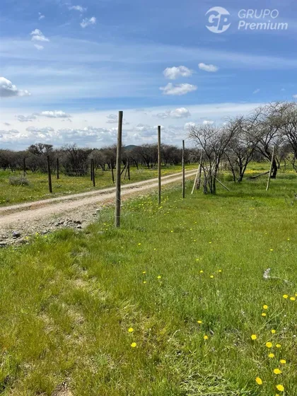 Agrícola En Venta En Cauquenes