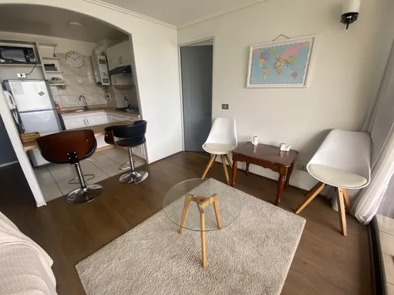 Arriendo Departamento 1 Dor Amoblado En Reñaca