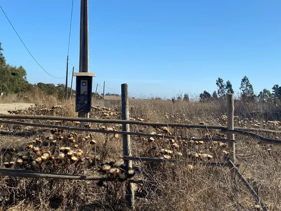Se Vende Parcela De 1ha En El Sector Malvilla, San Antonio