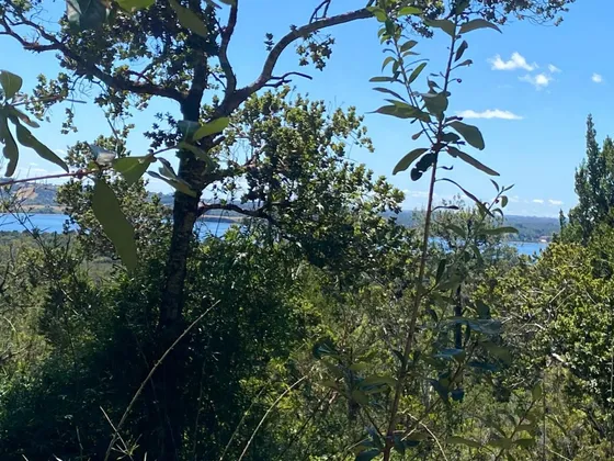 Se Vende Parcela De Media Hectarea En Pupelde, Ancud
