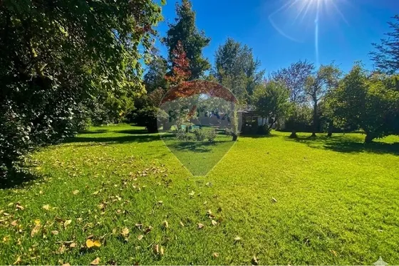 Parcela De 5.000 M² Con Casa Y Piscina Buin