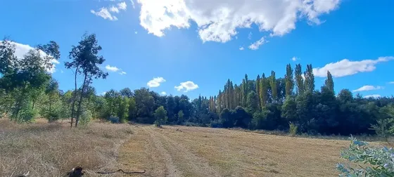 Agrícola En Venta En Coihueco