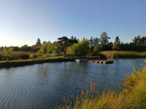 Venta Parcela 5300 M2 Camino Huape Cerca De Chillán 48000000