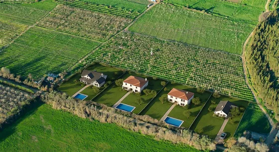 Agrícola En Venta En Ocoa
