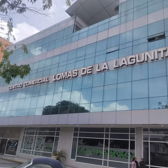 Local 10 Metros Cuadrados, Aire Acondicionado, Mobiliario ,línea Cantv Con Internet.
