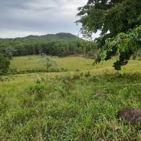Vendo Finca 429 Tareas En Bayaguana, Ultima Rebaja (ganadera  Agricola) 