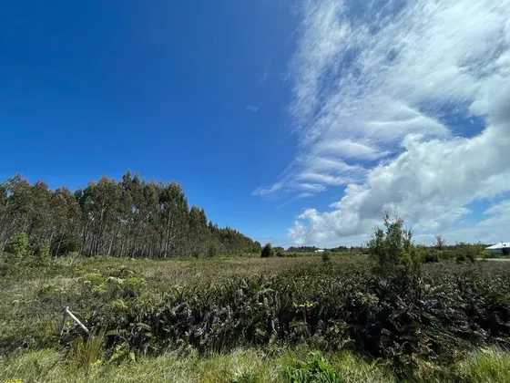 Parcela Al Interior, A 30 Minutos De Los Muermos