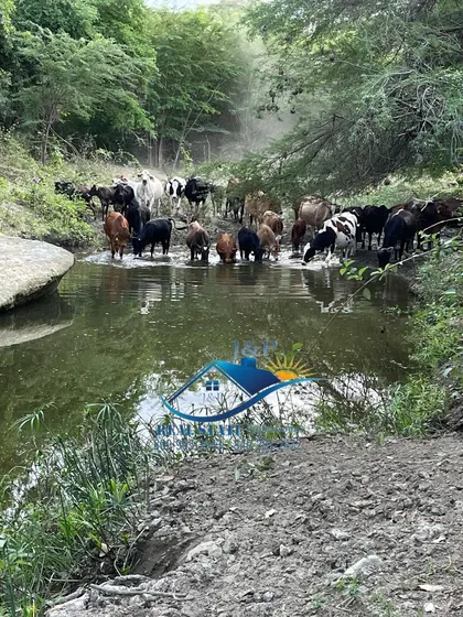 No Dejes Que Nadie Decida Por Ti Aquí  Tu Mejor Inversión 