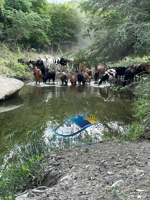 No Dejes Que Nadie Decida Por Ti Aquí  Tu Mejor Inversión 