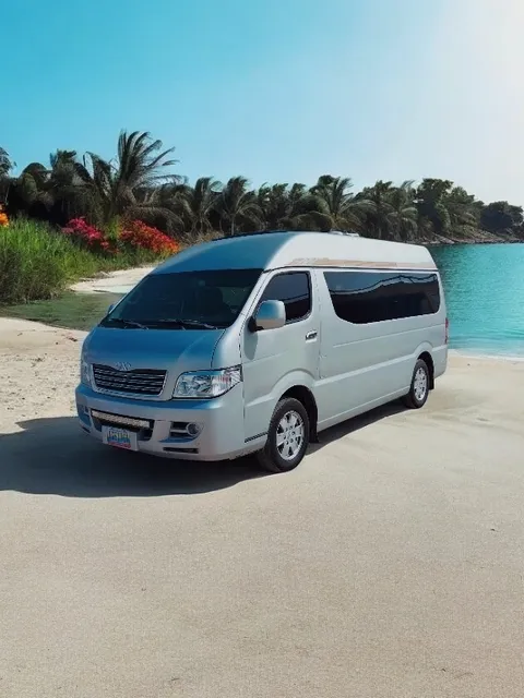 Transporte Ejecutivo De Lujo En Vans 12 - 22 - 32 Ptos (vip)