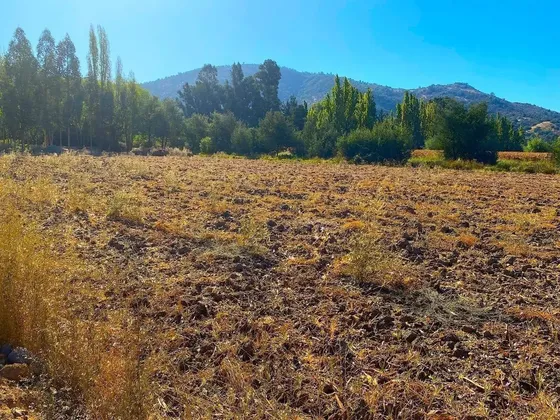 Parcela En Colchagua