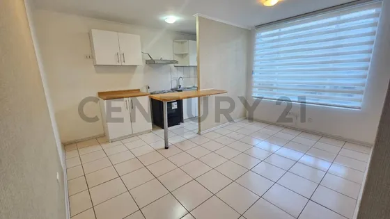 Arriendo Depto 3d 1b, Ongolmo Con Bulnes, Concepción
