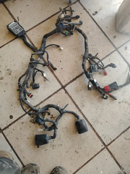 Arnés Completo Con Todo Y Conputadora  Para Pulsar N250 2024