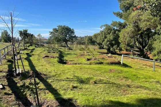 Oasis Rural En Yumbel: Sueño De Campo Moderno