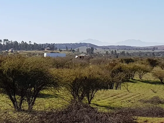 Fundo Los Maitenes