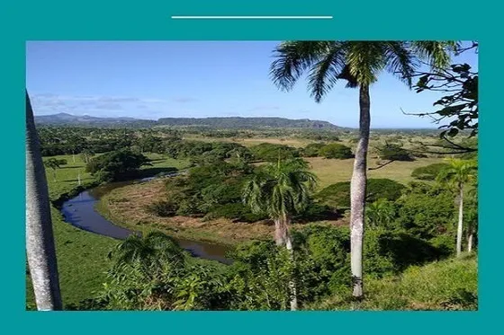 Venta De Terrenos Para  Proyectos Turisticos En Rio San Juan 