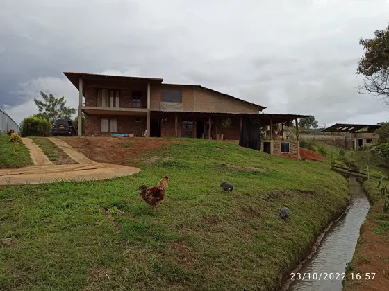 Venta Finca En Parcelación Km 30 Borrero Ayerbe Dagua