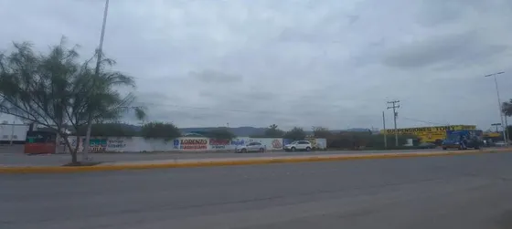 Terrenos En Renta Mercado De López Sánchez Torreón Coahuila