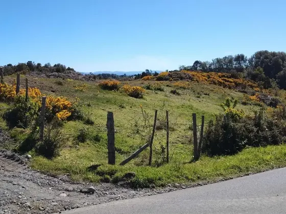 Oportunidad Parcela 8.800 M², Alta Plusvalía Chiloé