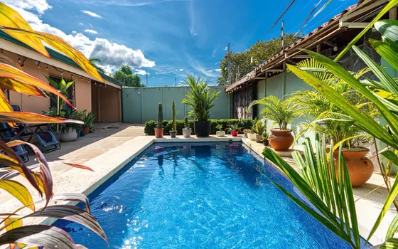 House For Monthly Rent  Available December & January